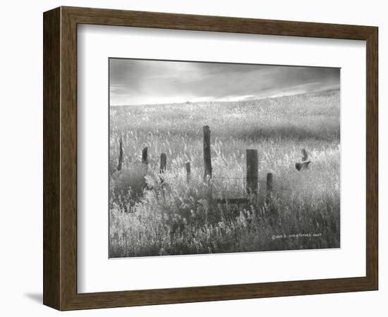 Fence Line Flight II-Chris Vest-Framed Photographic Print