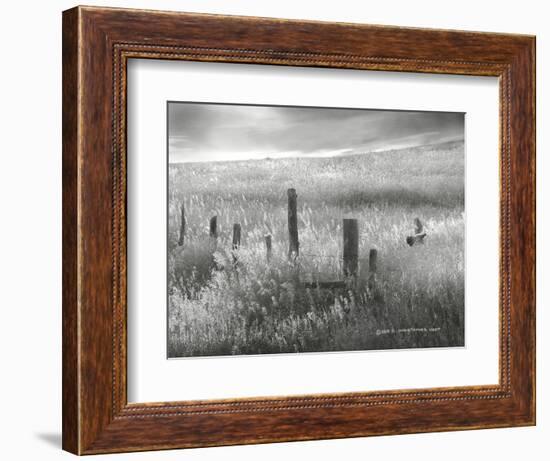 Fence Line Flight II-Chris Vest-Framed Photographic Print