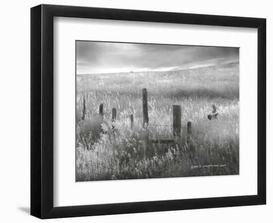 Fence Line Flight II-Chris Vest-Framed Photographic Print