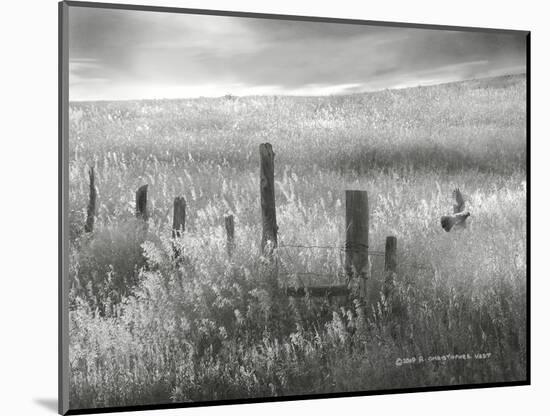 Fence Line Flight II-Chris Vest-Mounted Photographic Print