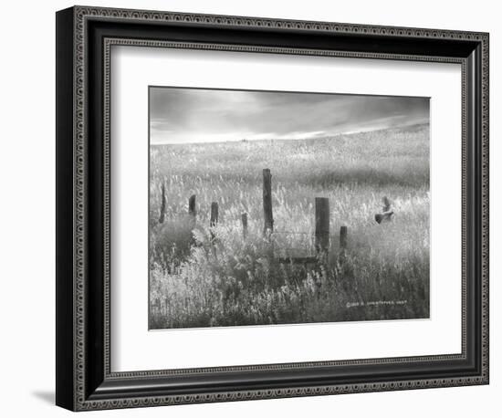 Fence Line Flight II-Chris Vest-Framed Photographic Print