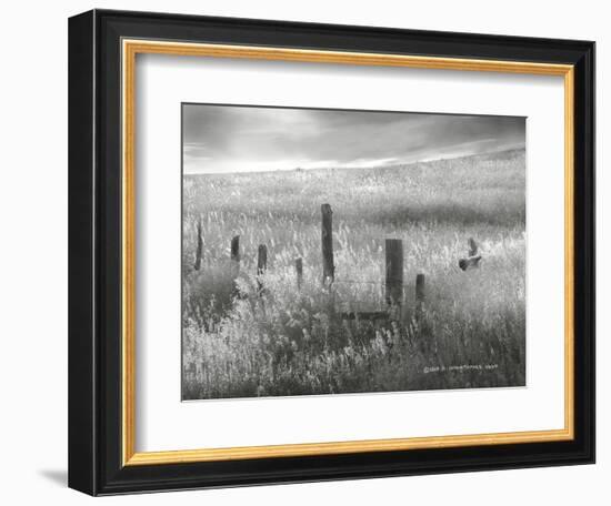 Fence Line Flight II-Chris Vest-Framed Photographic Print