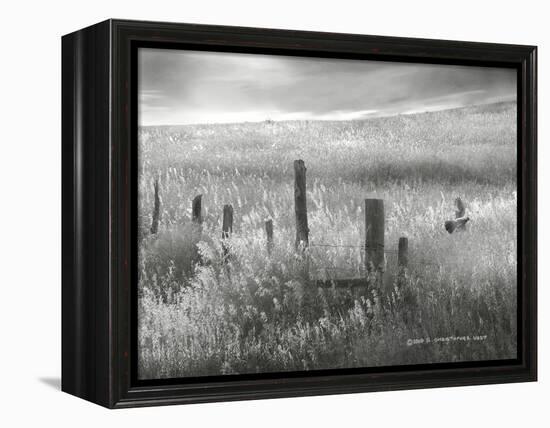 Fence Line Flight II-Chris Vest-Framed Premier Image Canvas