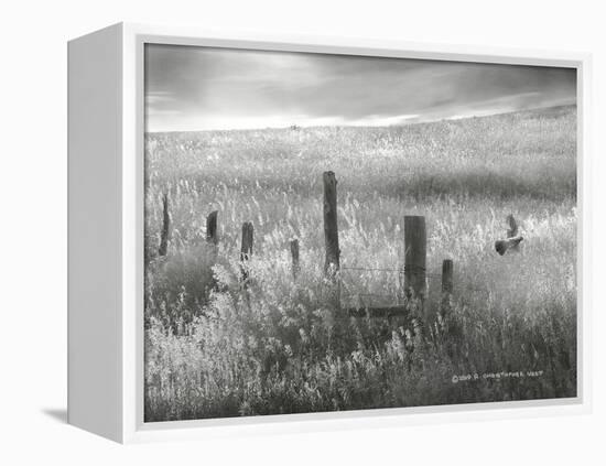 Fence Line Flight II-Chris Vest-Framed Premier Image Canvas