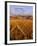 Fence Line Rocky Mountain Front near Choteau, Montana, USA-Chuck Haney-Framed Photographic Print