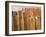 Fence Made of Rocks, Rohet, Rajasthan, India-Keren Su-Framed Photographic Print