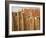 Fence Made of Rocks, Rohet, Rajasthan, India-Keren Su-Framed Photographic Print