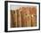 Fence Made of Rocks, Rohet, Rajasthan, India-Keren Su-Framed Photographic Print