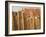 Fence Made of Rocks, Rohet, Rajasthan, India-Keren Su-Framed Photographic Print