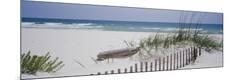 Premium Photographic Print
