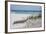 Fence on the beach, Alabama, Gulf of Mexico, USA-null-Framed Photographic Print