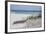 Fence on the beach, Alabama, Gulf of Mexico, USA-null-Framed Photographic Print