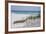 Fence on the beach, Alabama, Gulf of Mexico, USA-null-Framed Photographic Print