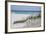 Fence on the beach, Alabama, Gulf of Mexico, USA-null-Framed Photographic Print