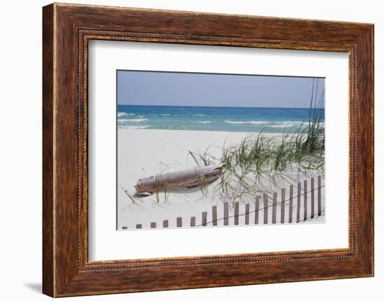 Fence on the beach, Alabama, Gulf of Mexico, USA-null-Framed Photographic Print