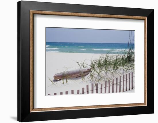 Fence on the beach, Alabama, Gulf of Mexico, USA-null-Framed Photographic Print