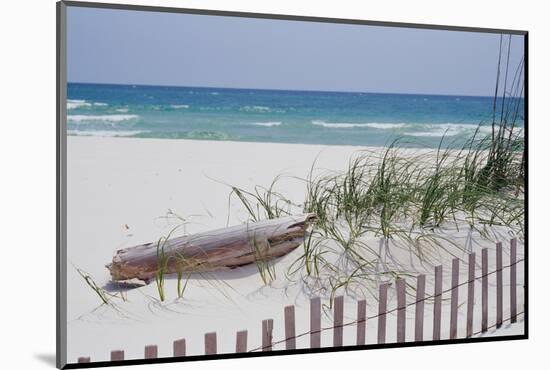 Fence on the beach, Alabama, Gulf of Mexico, USA-null-Mounted Photographic Print