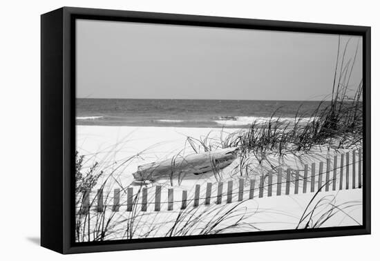 Fence on the beach, Bon Secour National Wildlife Refuge, Gulf of Mexico, Bon Secour, Baldwin Cou...-null-Framed Premier Image Canvas