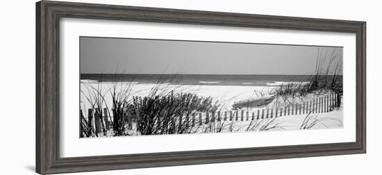 Fence on the Beach, Bon Secour National Wildlife Refuge, Gulf of Mexico, Bon Secour-null-Framed Photographic Print