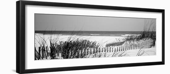 Fence on the Beach, Bon Secour National Wildlife Refuge, Gulf of Mexico, Bon Secour-null-Framed Photographic Print