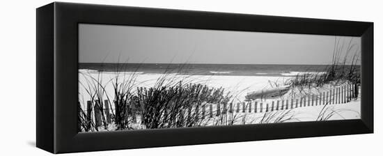 Fence on the Beach, Bon Secour National Wildlife Refuge, Gulf of Mexico, Bon Secour-null-Framed Premier Image Canvas