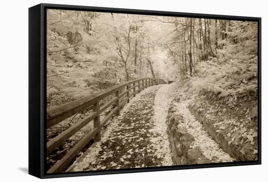 Fence & Pathway, Munising, Michigan '12-Monte Nagler-Framed Stretched Canvas