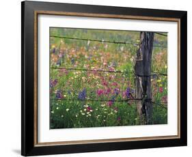 Fence Post and Wildflowers, Lytle, Texas, USA-Darrell Gulin-Framed Photographic Print