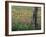 Fence Post and Wildflowers, Lytle, Texas, USA-Darrell Gulin-Framed Photographic Print