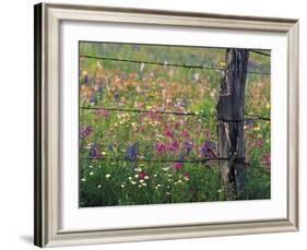 Fence Post and Wildflowers, Lytle, Texas, USA-Darrell Gulin-Framed Photographic Print