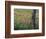 Fence Post and Wildflowers, Lytle, Texas, USA-Darrell Gulin-Framed Photographic Print