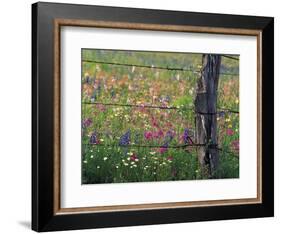 Fence Post and Wildflowers, Lytle, Texas, USA-Darrell Gulin-Framed Photographic Print