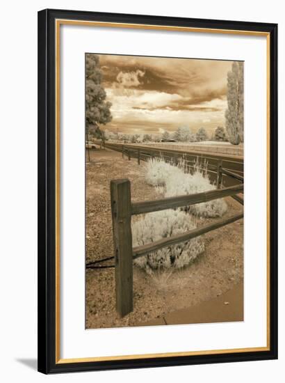 Fence & Road, Albuquerque, New Mexico 06-Monte Nagler-Framed Photographic Print