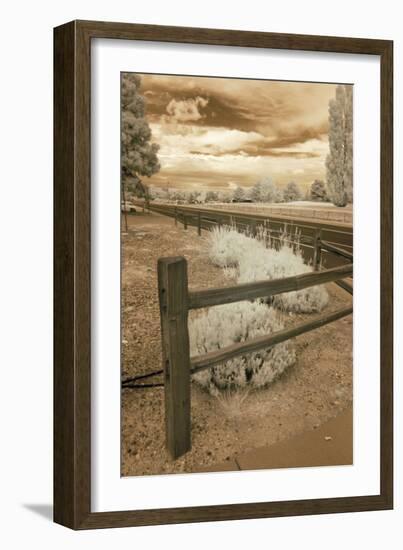 Fence & Road, Albuquerque, New Mexico 06-Monte Nagler-Framed Photographic Print