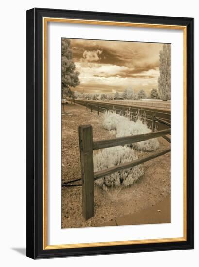 Fence & Road, Albuquerque, New Mexico 06-Monte Nagler-Framed Photographic Print