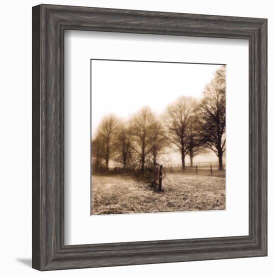 Fence Row and Trees-Harold Silverman-Framed Art Print