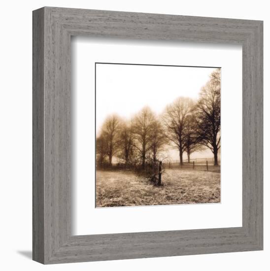 Fence Row and Trees-Harold Silverman-Framed Art Print