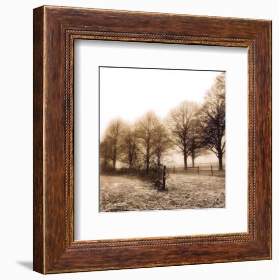 Fence Row and Trees-Harold Silverman-Framed Art Print