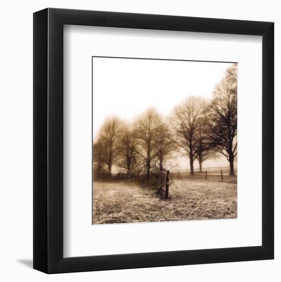 Fence Row and Trees-Harold Silverman-Framed Art Print