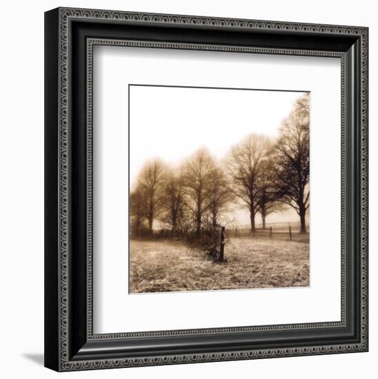 Fence Row and Trees-Harold Silverman-Framed Art Print