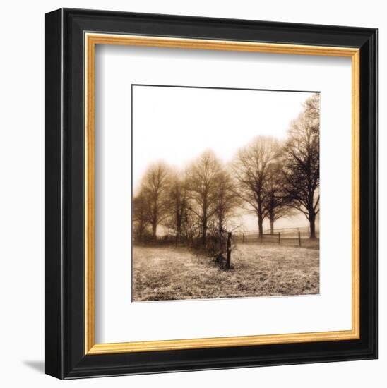 Fence Row and Trees-Harold Silverman-Framed Art Print