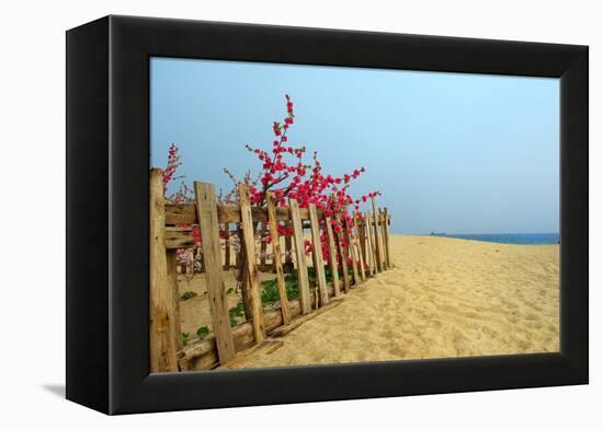 Fence, Sand Dunes and Flower in Seaside-kenny001-Framed Premier Image Canvas