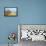 Fence, Sand Dunes and Flower in Seaside-kenny001-Framed Premier Image Canvas displayed on a wall