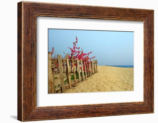 Fence, Sand Dunes and Flower in Seaside-kenny001-Framed Photographic Print