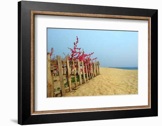 Fence, Sand Dunes and Flower in Seaside-kenny001-Framed Photographic Print