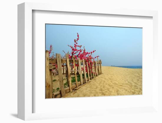 Fence, Sand Dunes and Flower in Seaside-kenny001-Framed Photographic Print