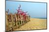 Fence, Sand Dunes and Flower in Seaside-kenny001-Mounted Photographic Print