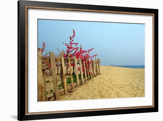 Fence, Sand Dunes and Flower in Seaside-kenny001-Framed Photographic Print