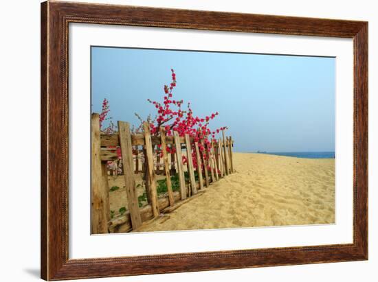 Fence, Sand Dunes and Flower in Seaside-kenny001-Framed Photographic Print