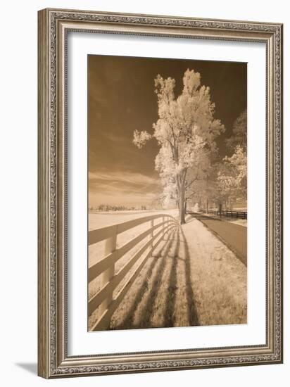 Fence, Shadows, & Trees, Kentucky 08-Monte Nagler-Framed Photographic Print