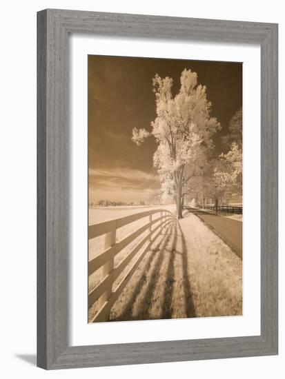 Fence, Shadows, & Trees, Kentucky 08-Monte Nagler-Framed Photographic Print